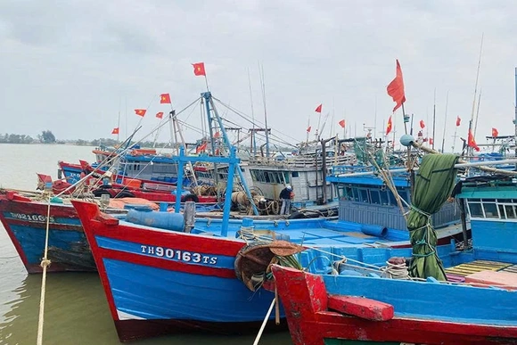 Sử dụng nhật ký điện tử&nbsp;để số hóa nghề cá