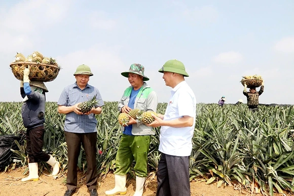 Nhận diện lợi thế, xác định hướng đi đúng để Yên Phú phát triển