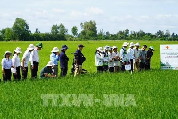 Đã có 32 địa phương hoàn thành sắp xếp, kiện toàn trung tâm khuyến nông cấp tỉnh