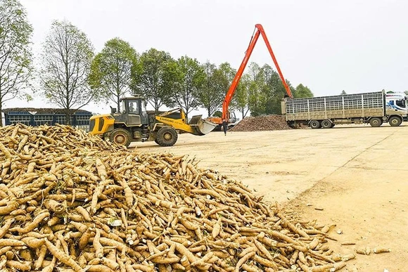 Phát triển vùng nguyên liệu bền vững - Hướng tới chuỗi giá trị toàn cầu (Bài cuối): Giải pháp nào để “giữ chân”&nbsp;các vùng nguyên liệu?