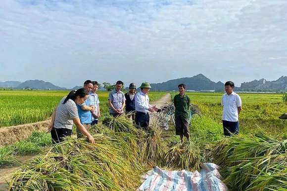 Quý Lộc cụ thể hóa nghị quyết bằng các&nbsp;chương trình hành động sát thực tiễn