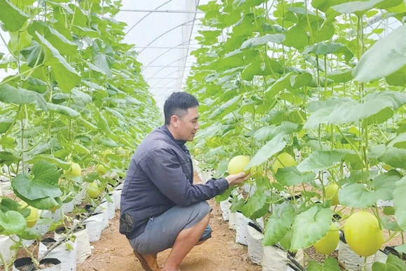 Nguyệt Ấn đưa nghị quyết của Đảng vào cuộc sống