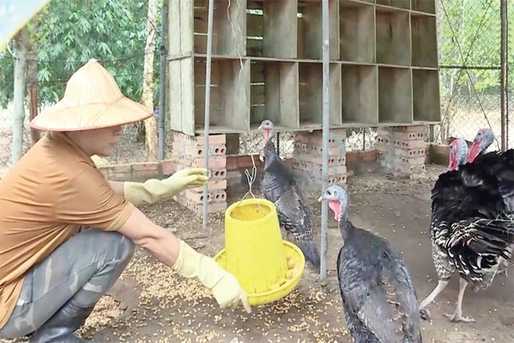 Vườn Quốc gia Bến En tích cực cứu hộ, chăm sóc và bảo tồn động vật hoang dã