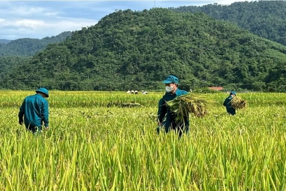 Thanh Quân: Lan tỏa nghĩa tình quân dân từ những việc làm thiết thực