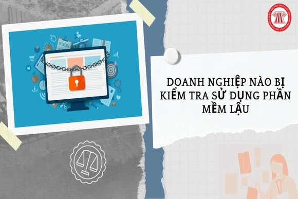 Doanh nghiệp nào bị kiểm tra sử dụng phần mềm lậu từ ngày 07/5/2026 đến 30/5/2026?