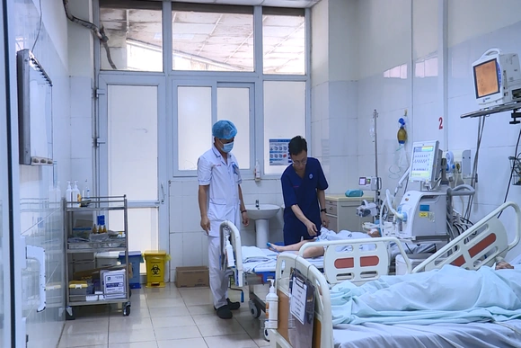 Cảnh báo mùa rắn sinh sản - nguy cơ rắn độc cắn gia tăng