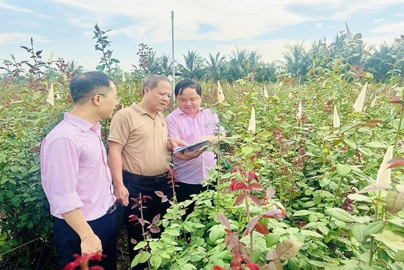 Hỗ trợ đắc lực cho người dân&nbsp;phát triển sản xuất, nâng cao thu nhập
