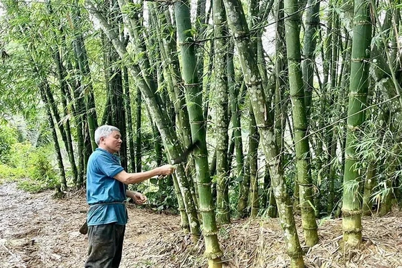 Hướng đi mới nâng thu nhập&nbsp;cho nông dân ở Đồng Lương