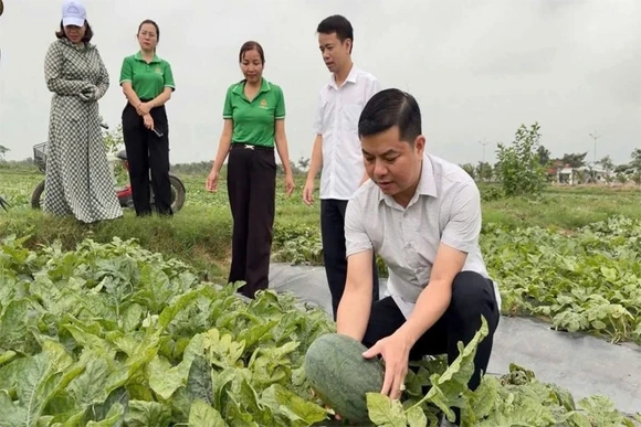 Vai trò của cấp ủy trong nâng cao năng lực lãnh đạo, sức chiến đấu của chi bộ