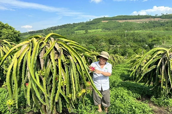 Thạch Quảng đưa nghị quyết của Đảng vào cuộc sống