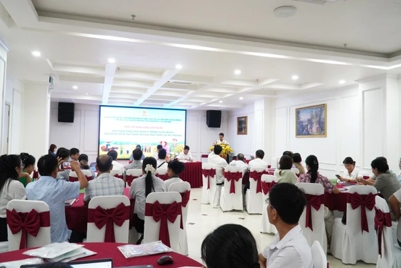 Tập huấn giảng viên nguồn canh tác lúa thân thiện với môi trường