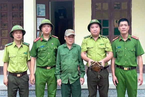 Người dân tự nguyện giao nộp rùa núi viền quý hiếm