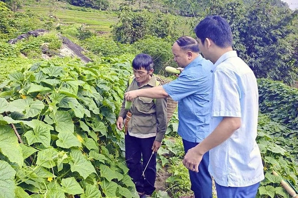 Đảng bộ xã Nhi Sơn tập trung lãnh đạo nâng cao đời sống người dân