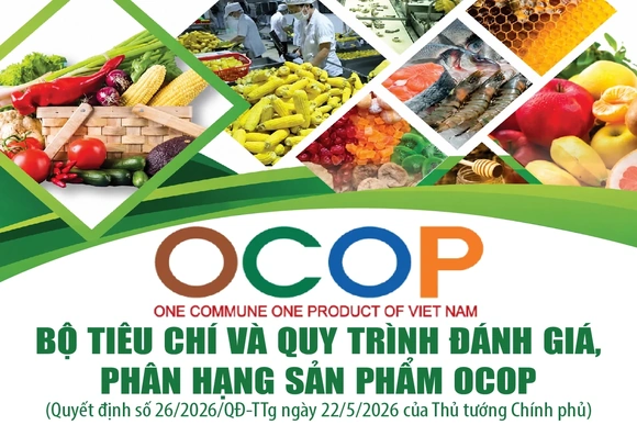 [Infographics] Bộ tiêu chí và quy trình đánh giá, phân hạng sản phẩm OCOP