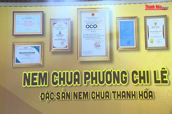 [REVIEW OCOP] Nem chua Phương Chi Lê - câu chuyện thương hiệu và hành trình Ocop