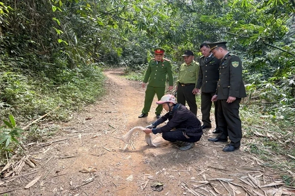 Tăng cường quản lý, bảo vệ các loài động vật hoang dã, nguồn lợi thủy sản