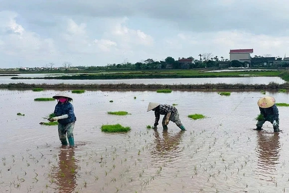 Nỗi lo trước vụ mùa