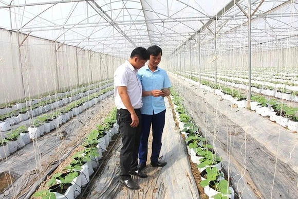Chú trọng nâng cao kiến thức,&nbsp;kỹ năng số cho thành viên HTX