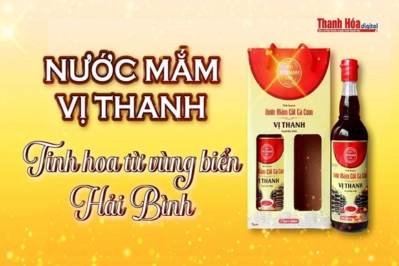 [REVIEW OCOP] Nước mắm Vị Thanh – Tinh hoa từ vùng biển Hải Bình