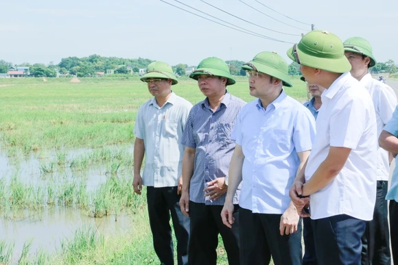 Đẩy nhanh tiến độ sản xuất vụ Thu Mùa, bảo đảm gieo cấy tối đa diện tích