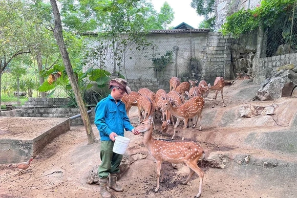 Hiệu quả từ những mô hình kinh tế ở Cẩm Thạch