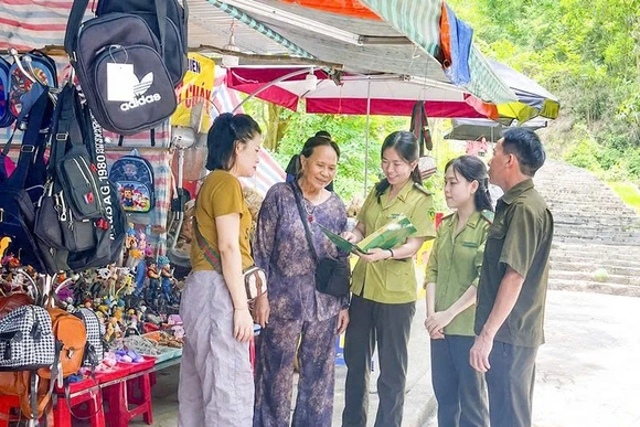 Bảo vệ “lá chắn xanh” ven biển mùa du lịch
