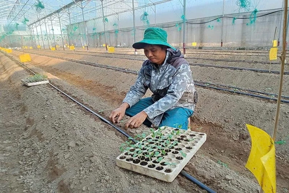 Nông dân trẻ dám nghĩ, dám làm