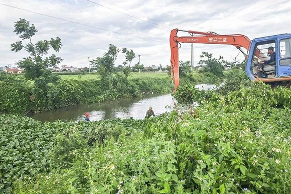 Chủ động ứng phó với xâm nhập mặn