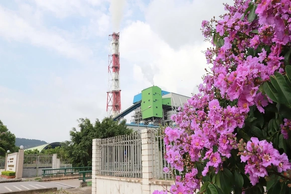 Nhiệt điện Nghi Sơn 1 đạt mốc 40 tỷ kWh, bảo đảm an ninh năng lượng Quốc gia