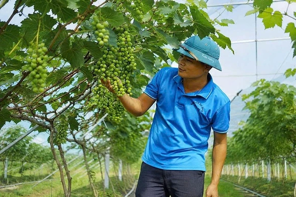 Những&nbsp; nông&nbsp; dân&nbsp; truyền&nbsp; cảm&nbsp; hứng (Bài 2): Người “thắp lửa”&nbsp;trên đồng đất quê hương