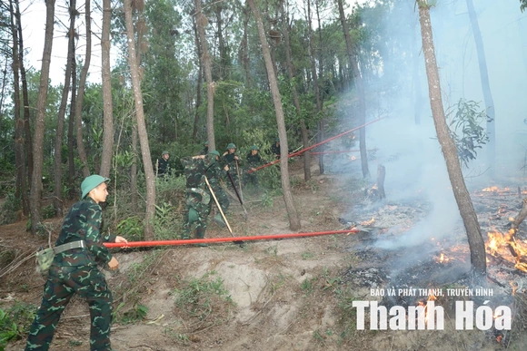 Dồn sức dập tắt hoàn toàn&nbsp;đám cháy rừng tại phường Hải Bình