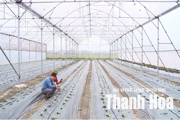 Công nghệ nâng tầm giá trị nông sản