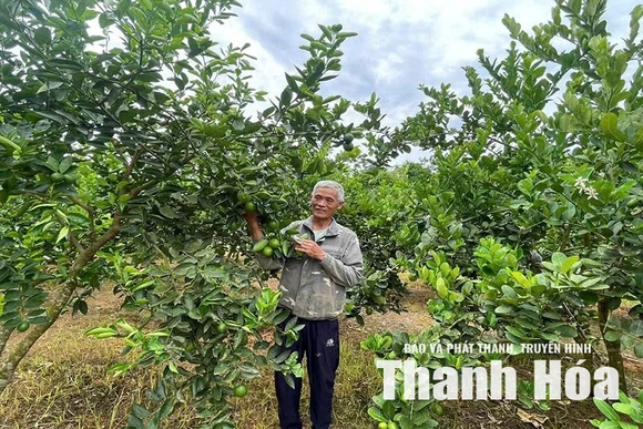 Cẩm Tân phát triển kinh tế, nâng cao thu nhập cho người dân