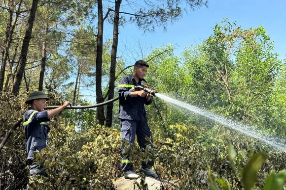 Khống chế thành công vụ cháy rừng tại phường Hải Bình