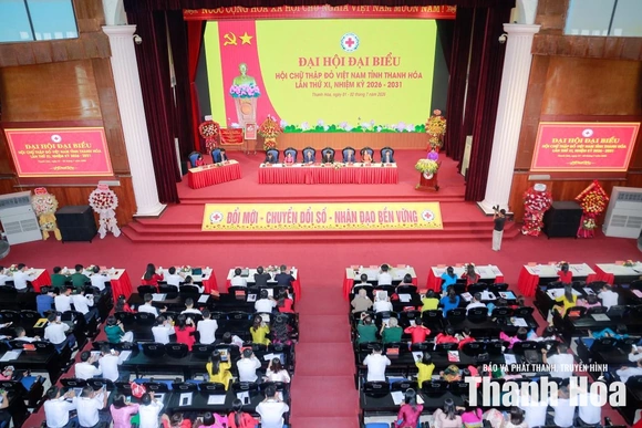 Chia sẻ kinh nghiệm để công tác nhân đạo chuyên nghiệp, bền vững hơn