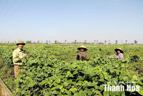 Bí thư chi bộ khéo dân vận