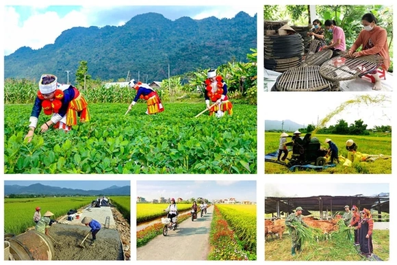 Chính phủ&nbsp;giao kế hoạch đầu tư công vốn ngân sách trung ương cho các bộ, địa phương thực hiện Chương trình MTQG