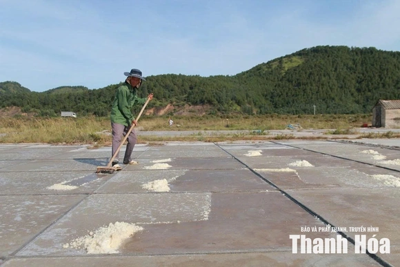 Sinh ra từ nắng, lấp lánh giữa đời