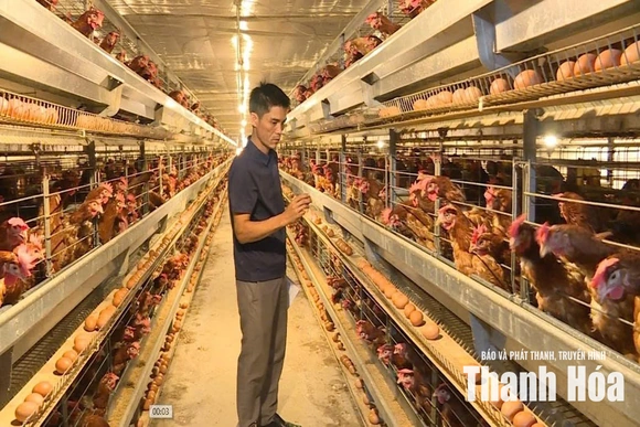 Những trang trại chăn nuôi thời công nghệ