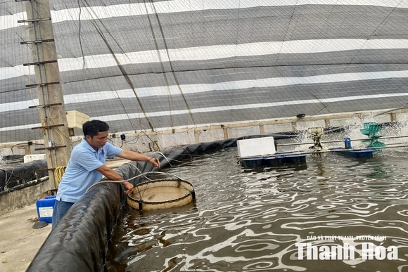Ứng dụng công nghệ cao&nbsp;vào nuôi trồng thủy sản