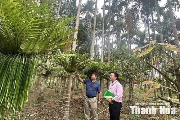 Điểm tựa cho hành trình&nbsp;giảm nghèo bền vững