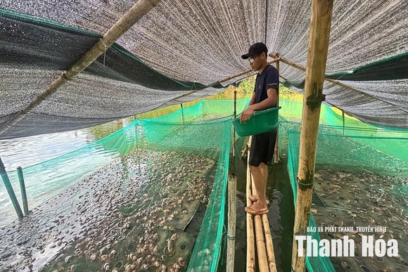 Thắp lửa khát vọng&nbsp;làm giàu của thanh niên
