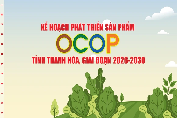 Kế hoạch phát triển sản phẩm OCOP tỉnh Thanh Hóa, giai đoạn 2026-2030