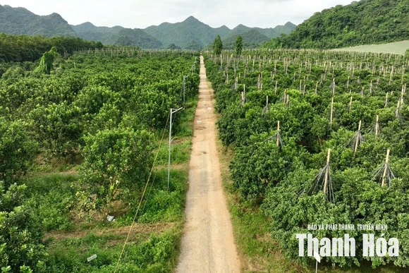 Đòn bẩy cho nông nghiệp hiện đại