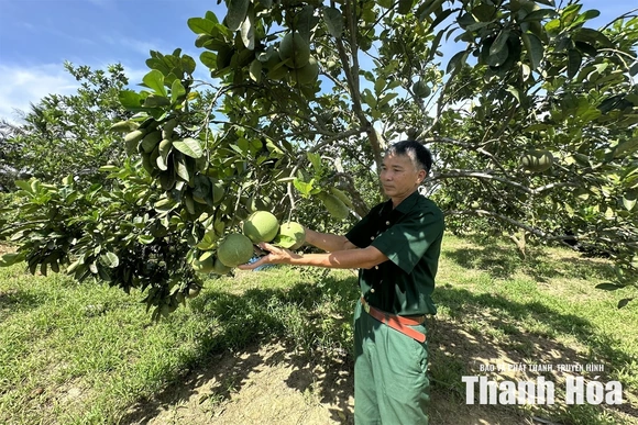 Tỏa sáng giữa đời thường