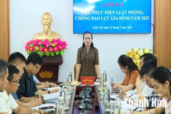 Giám sát triển khai thực hiện Luật Phòng, chống bạo lực gia đình năm 2022