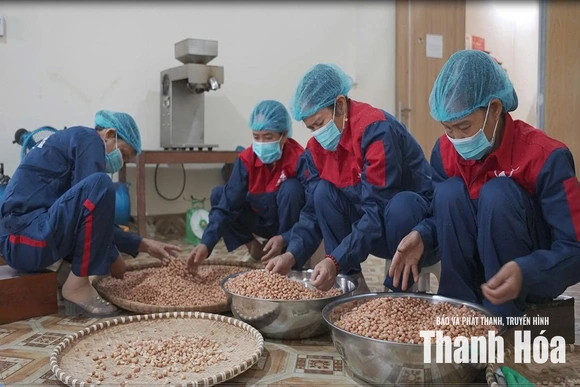 Phát triển sản phẩm OCOP&nbsp;theo chuỗi giá trị