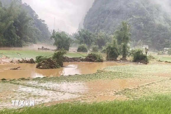 Thời tiết ngày 29/7: Mưa dông diện rộng, nhiều nơi mưa to đến rất to
