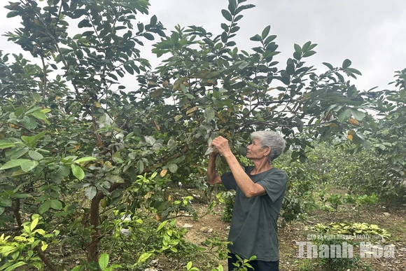 Khơi thông dòng vốn&nbsp;cho phát triển kinh tế địa phương