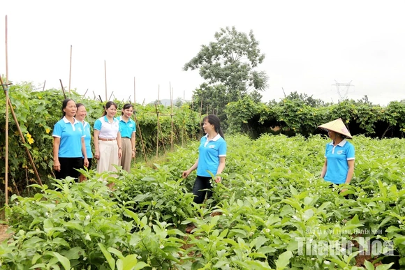 Liên kết phụ nữ phát triển kinh tế
